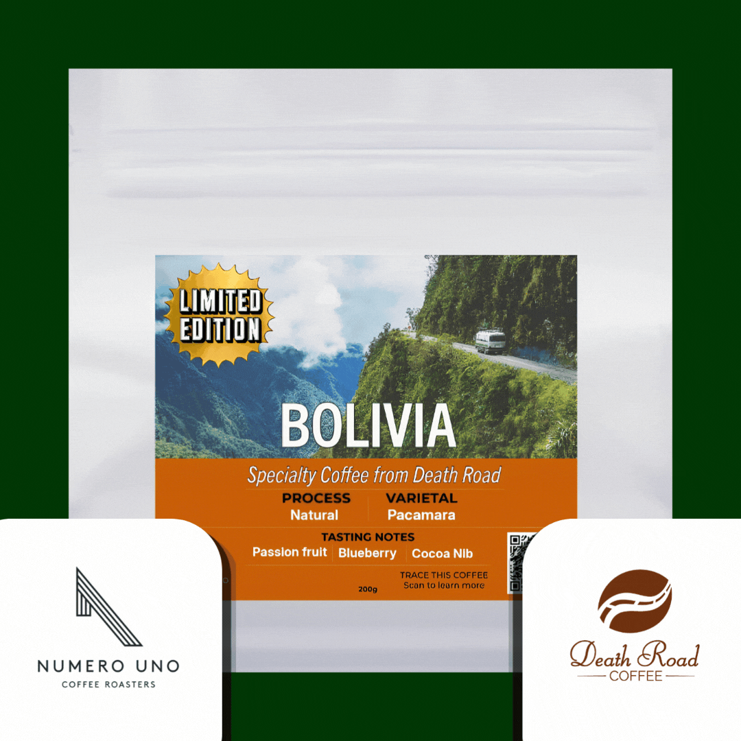 Pacamara